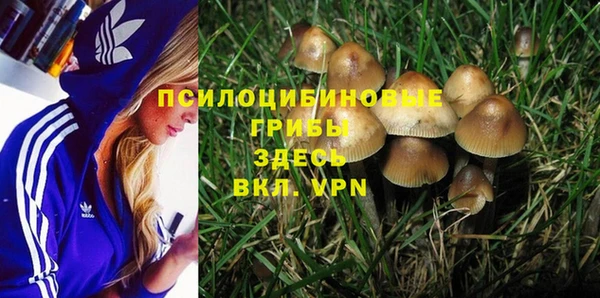амф Алексеевка