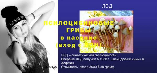 амф Алексеевка