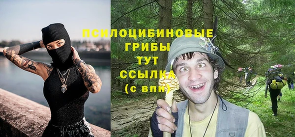 дживик Алексин