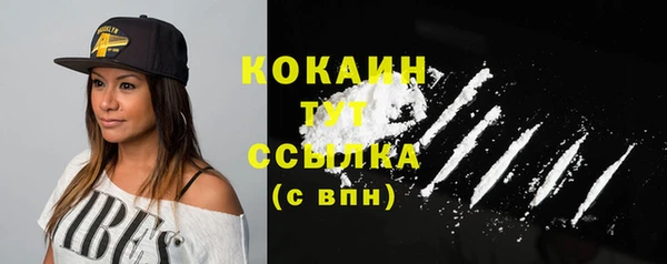 PSILOCYBIN Михайлов