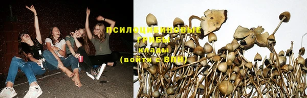 дживик Алексин