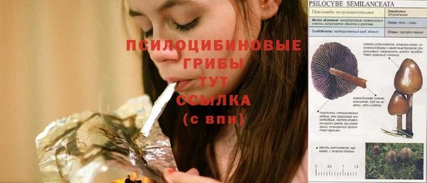 PSILOCYBIN Михайлов