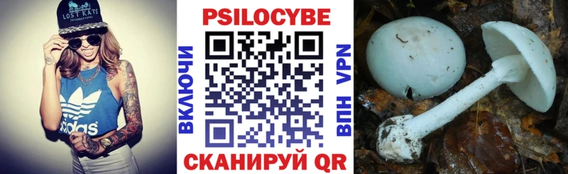 Галлюциногенные грибы ЛСД  Цоци-Юрт 